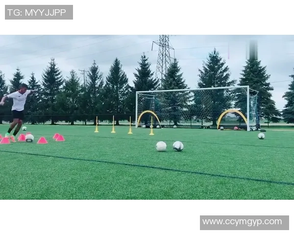 星座与足球明星的星座密码揭示他们的性格与球场表现