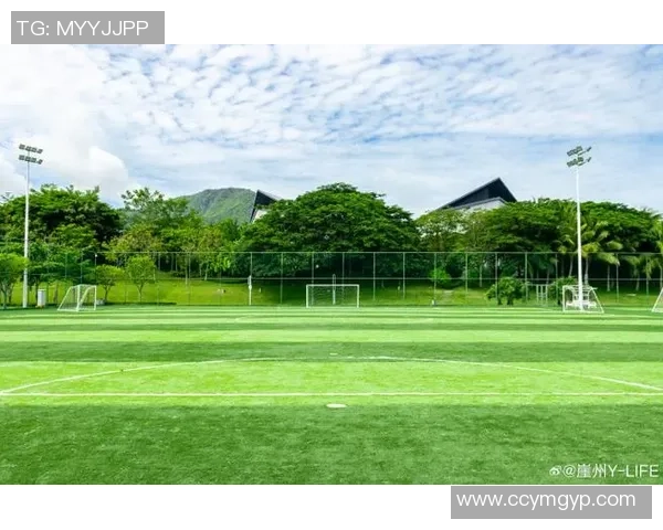 沉浸式手机屏保设计展现绿茵场上足球球星的激情瞬间 沉浸式手机屏保设计展现绿茵场上足球球星的激情瞬间