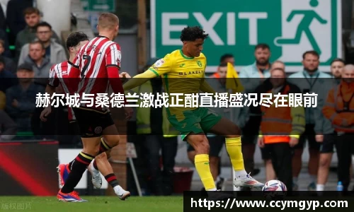 德赢官方