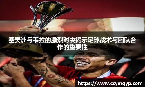 vwin德赢官网