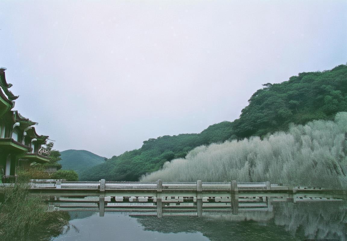 凯尔特人三连败引发更衣室危机，南锡坚称战术方向正确遭质疑